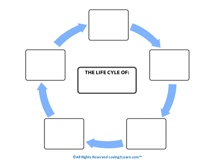 life-cycle-diagram-template